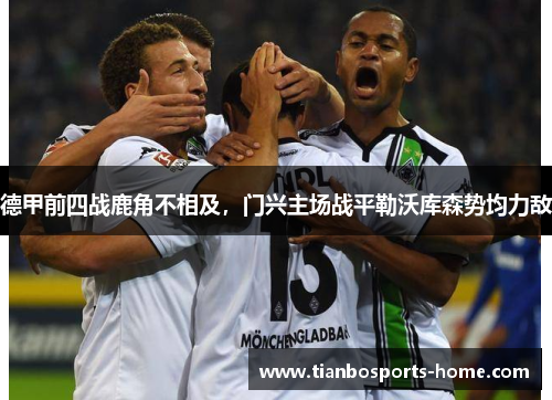 德甲前四战鹿角不相及，门兴主场战平勒沃库森势均力敌